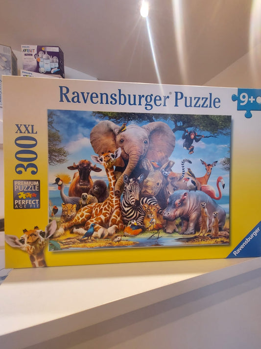 Jeux de puzzles