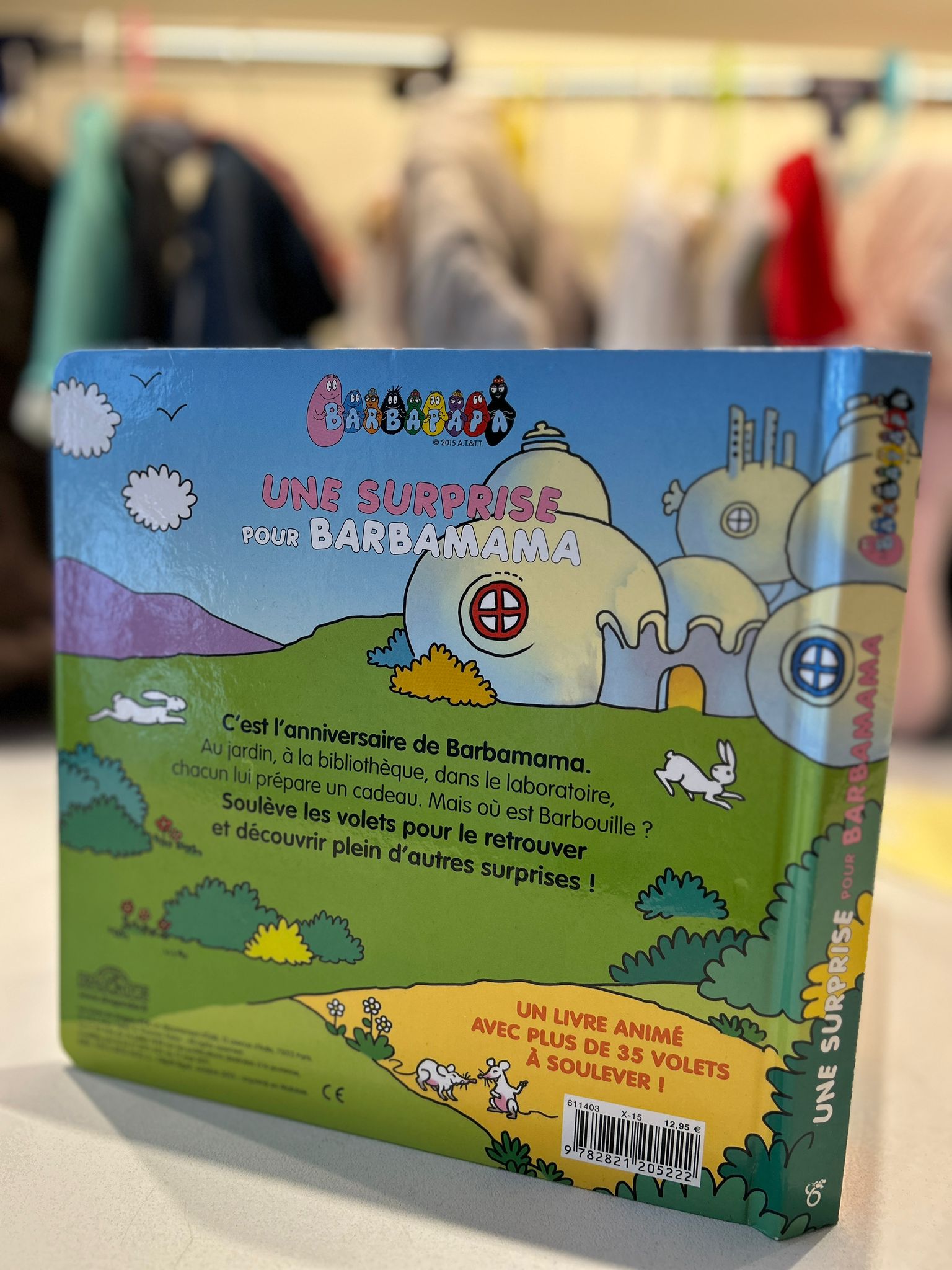 Livre enfant une surprise pour barbamama
